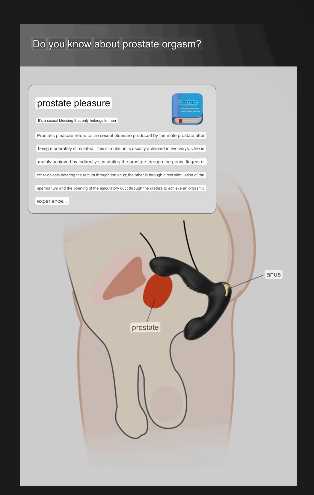 Palam Vibrator-Dubur, Urut prostat mainan seks dildo lelaki